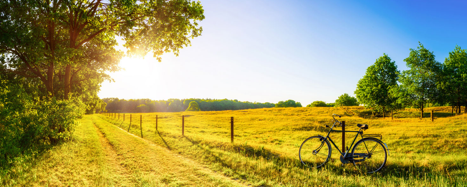 All About LIHEAP (Low-Income Home Energy Assistance Program)