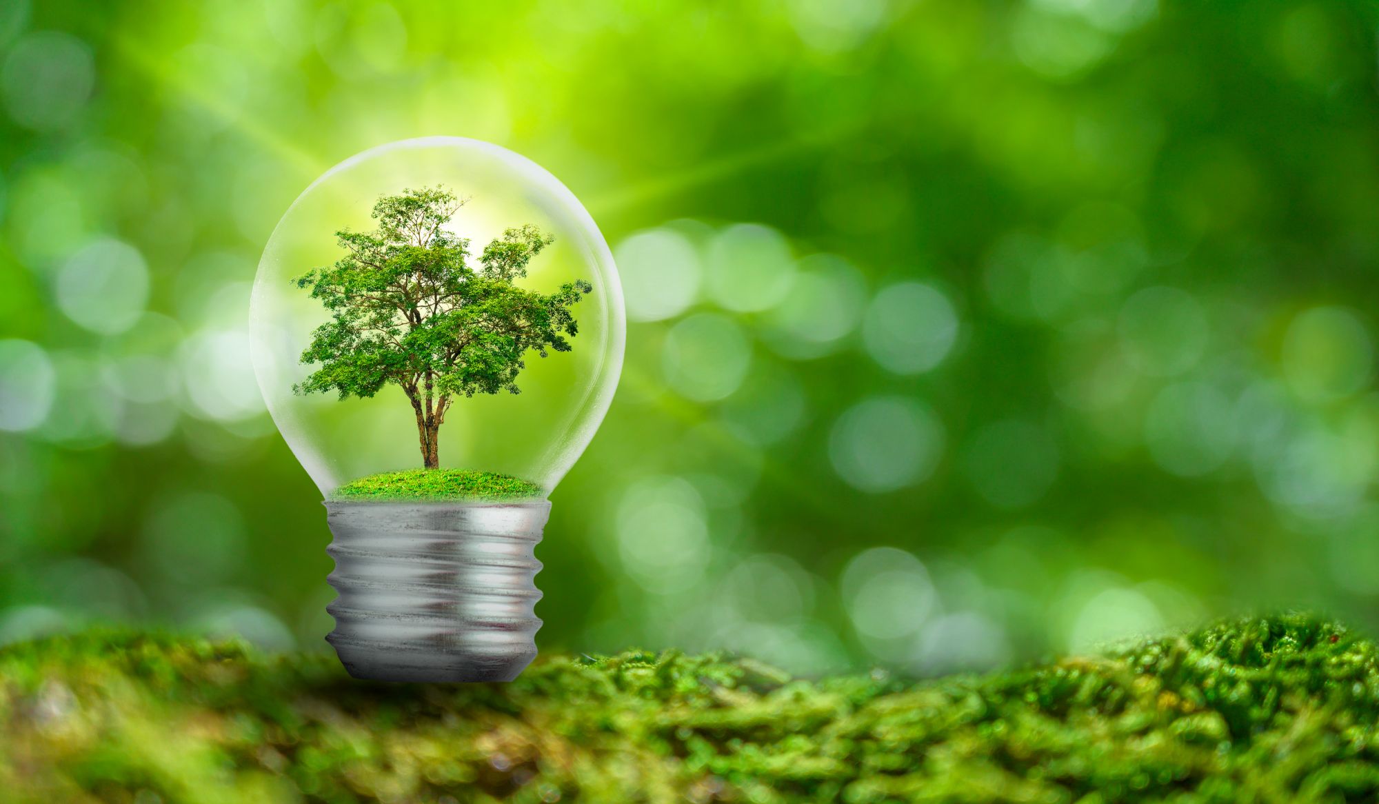 Energy Efficiency