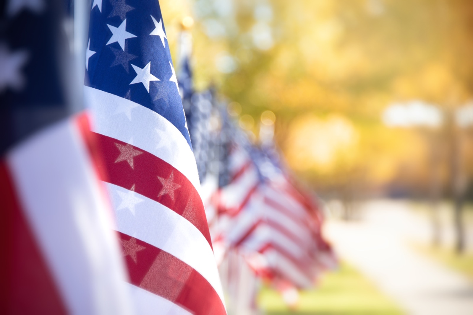 AVECC Honors Veterans Day